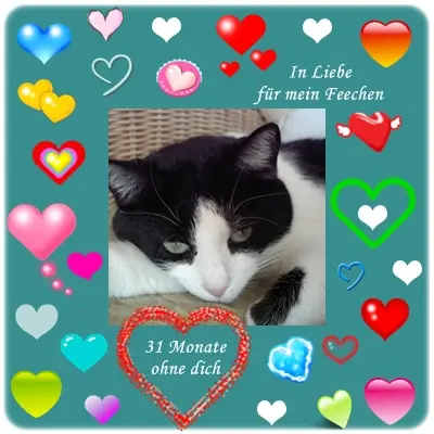 Condolence image of deiner Ilse, 2 Jahre und 7 Monate ohne dich