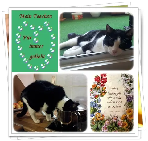 Condolence image of deiner Ilse, 2 Jahre und 8 Monate ohne dich