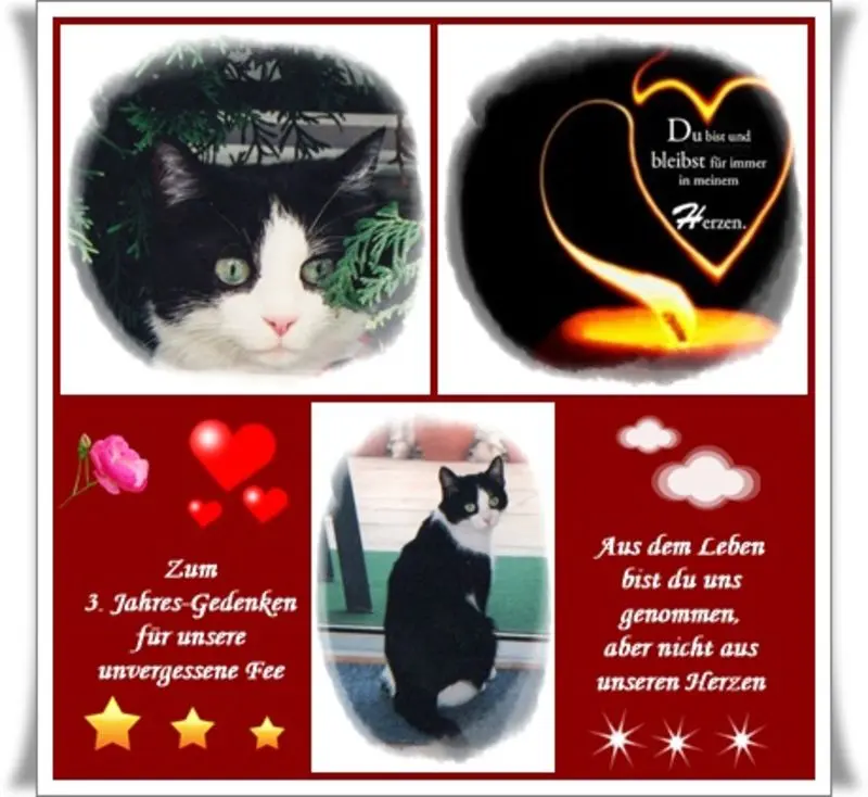 Condolence image of deiner Ilse in Liebe zum 3. Jahres-Gedenken