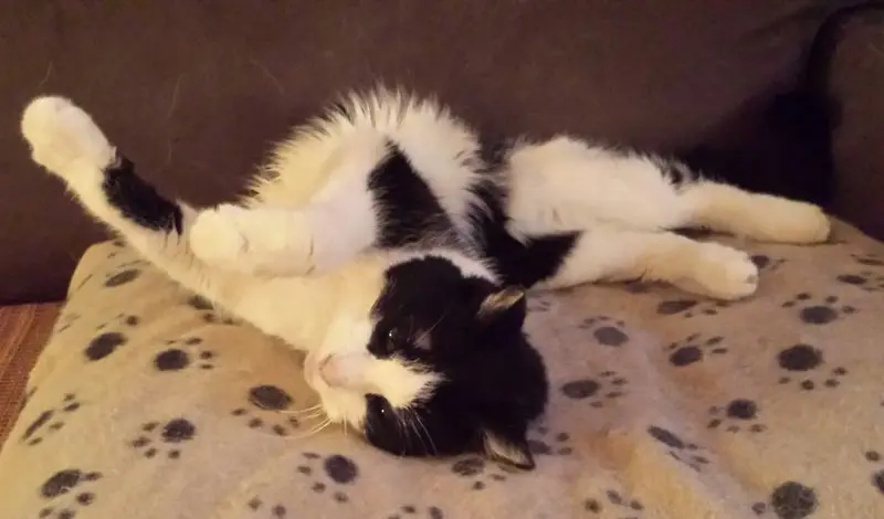 Condolence image of deiner Ilse, drei Jahre und drei Monate ohne dich