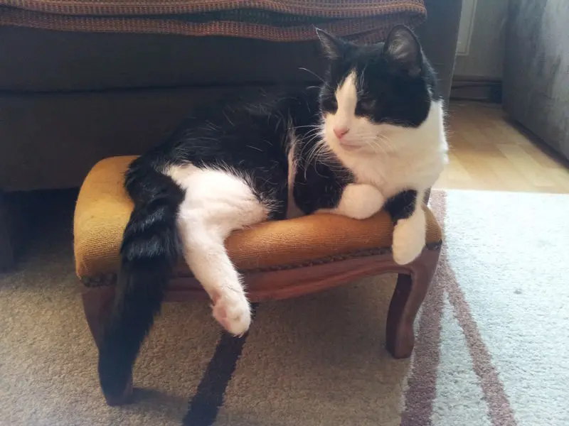 Condolence image of deiner Ilse zum 40. Gedenkmonat