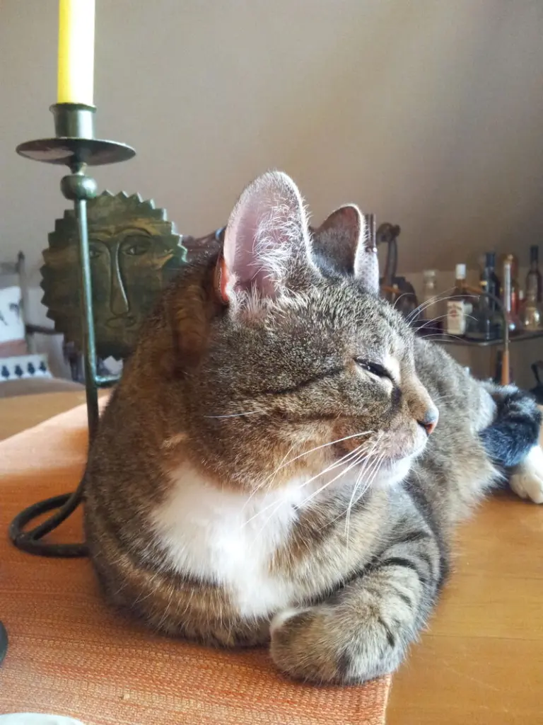 Condolence image of deiner Ilse in Liebe