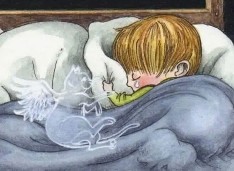 Condolence image of Hans u. Sibylle mit Momo † 13.11.2017