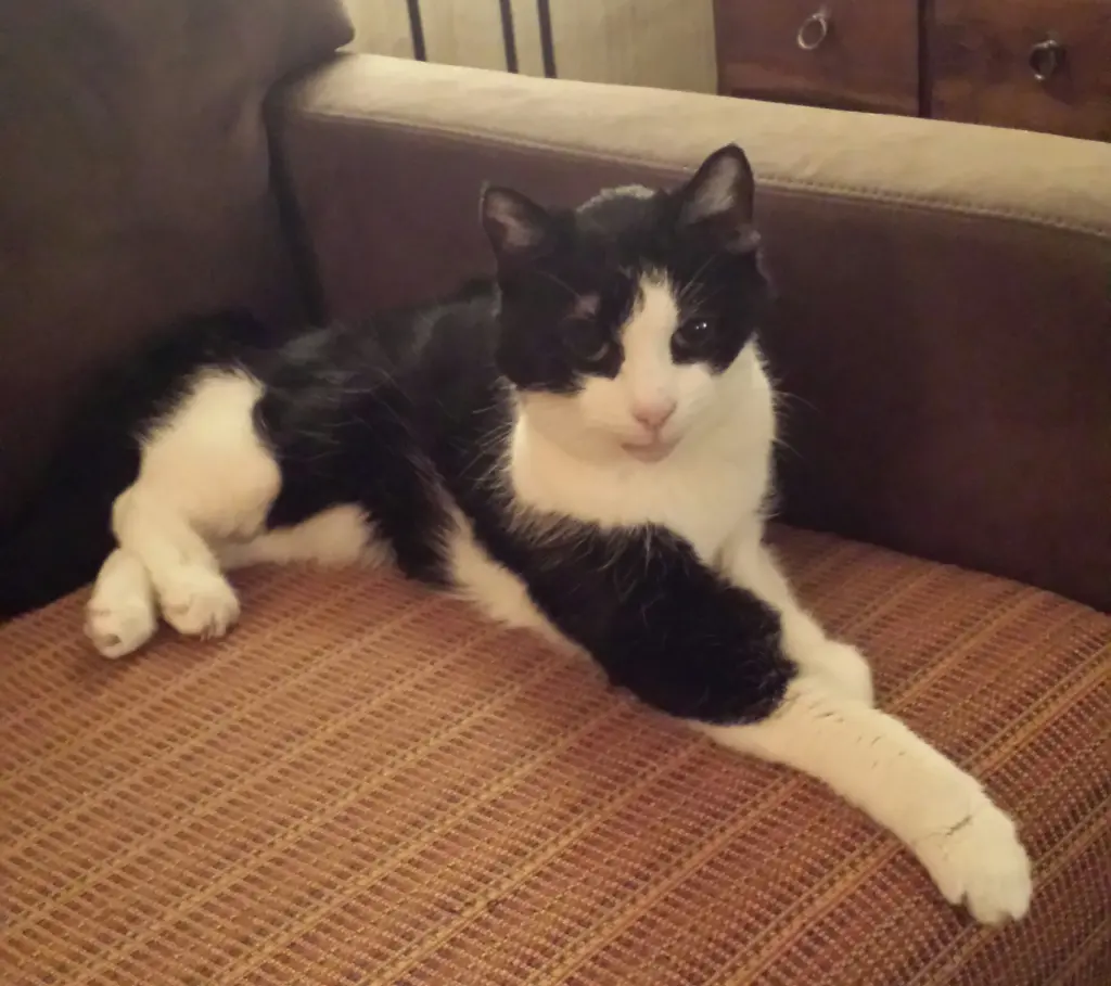 Condolence image of deiner Ilse in Liebe zum 64. Gedenkmonat