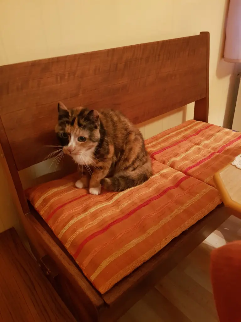 Condolence image of Ilse für mein geliebtes Mückchen