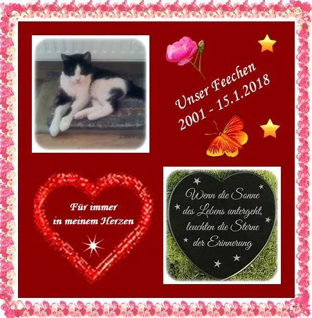 Condolence image of deiner Ilse in Liebe zum 77. Monatsgedenken