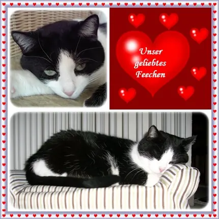 Condolence image of deiner Ilse in Liebe zum 7. Jahresgedenken