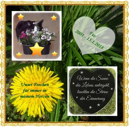 Condolence image of deiner Ilse in Liebe zum 87. Monatsgedenken