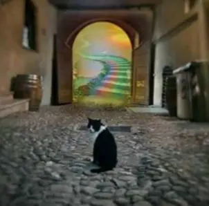 Condolence image of 🌈Regenbogengrüße zum 8. Sternchengedenkjahr 🌈