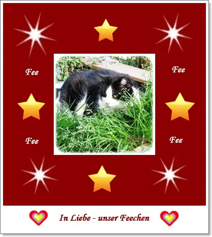 Condolence image of Deine Ilse in Liebe zum 102. Gedenkmonat