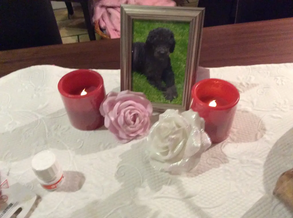Condolence image of Heidi 