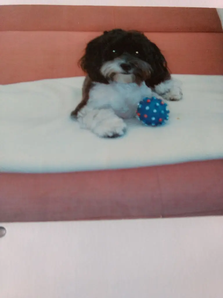 Andachtsbild von Sigrid