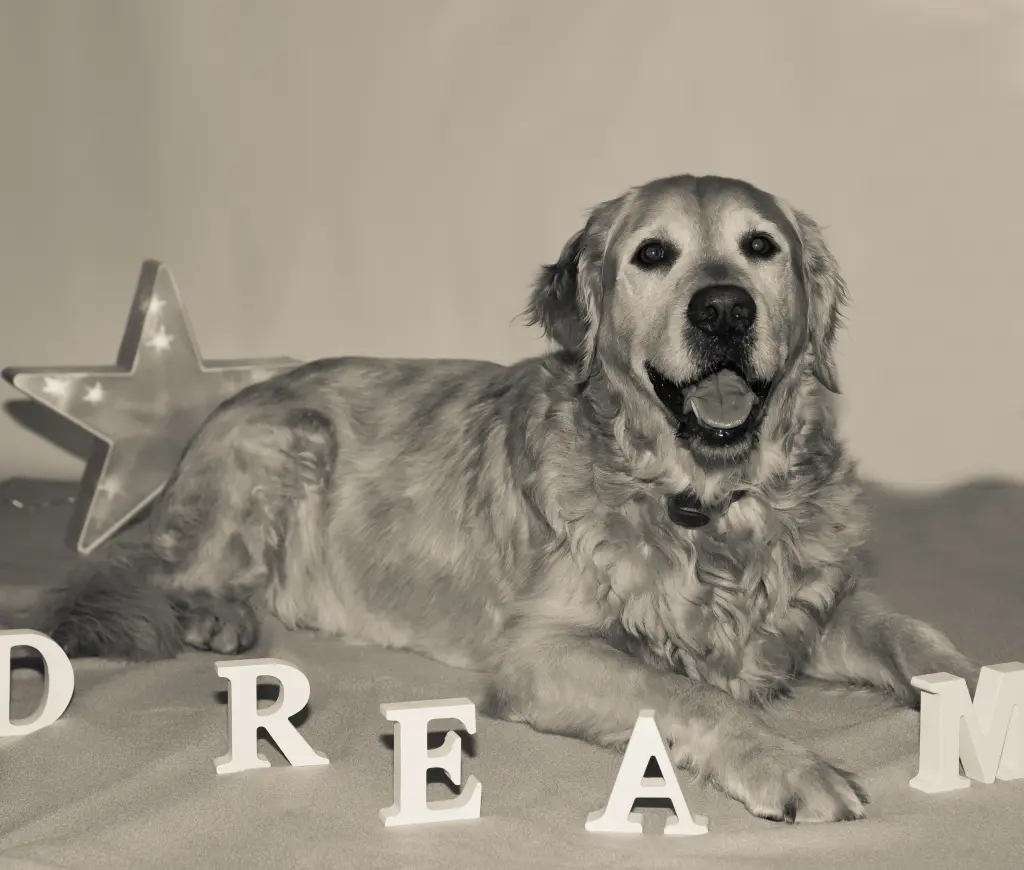 Andachtsbild von Micha mit Cäsar im Herzen