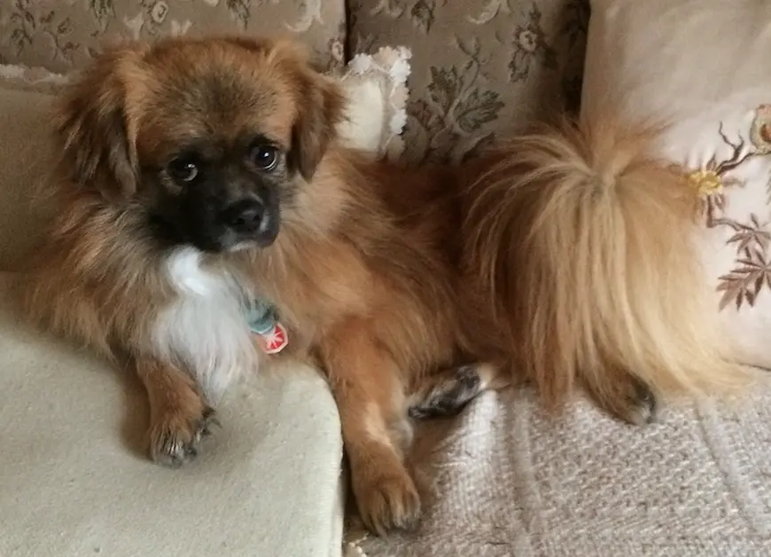 Condolence image of Beate