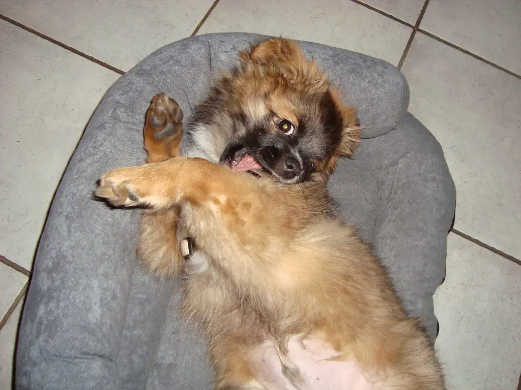 Image from Tashi Bacchus