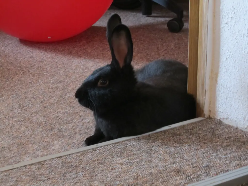 Condolence image of Unbekannt