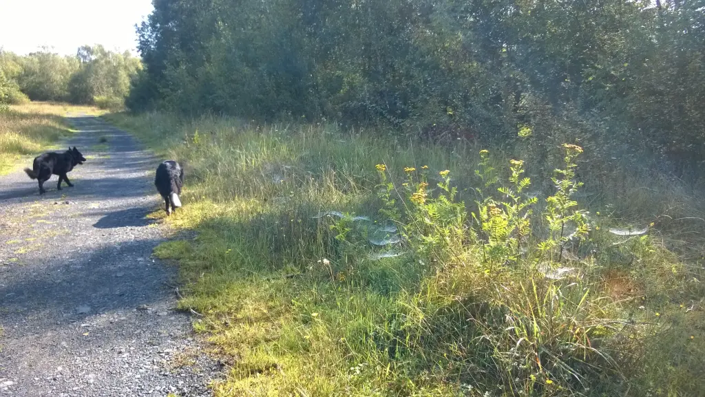 Andachtsbild von Gero