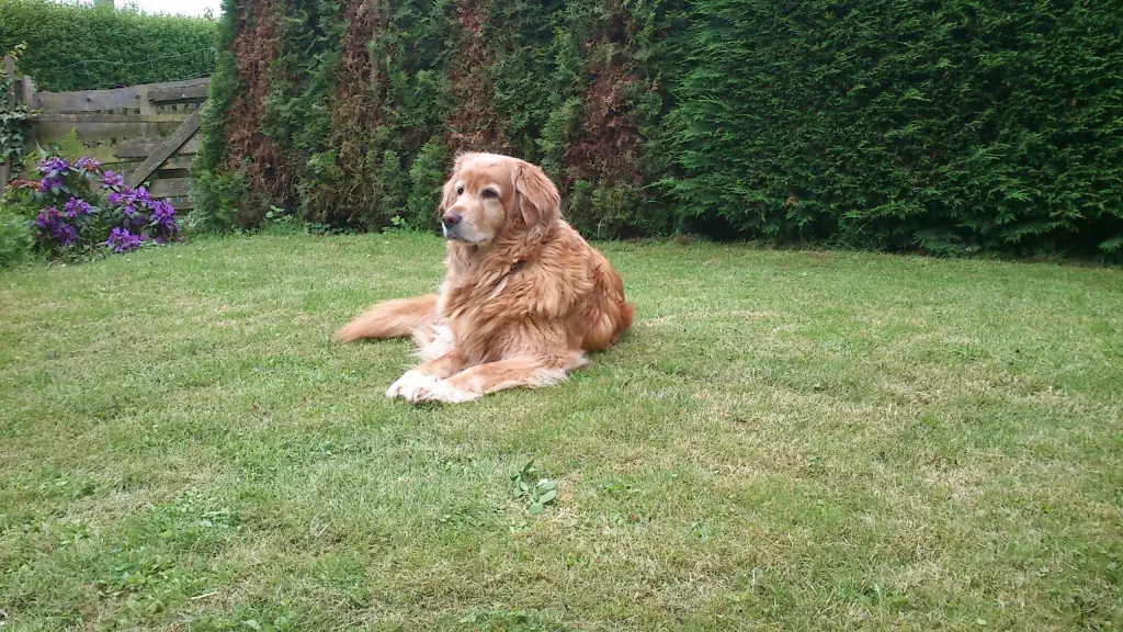 Condolence image of Michael