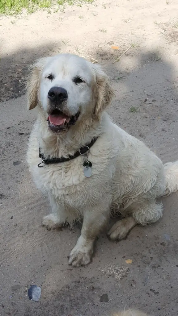 Condolence image of ASTRID