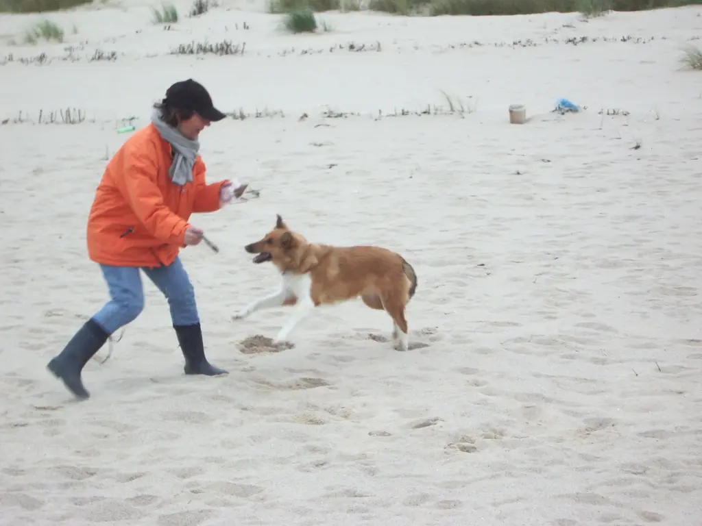 Condolence image of Katharina mit Merle im Herzen