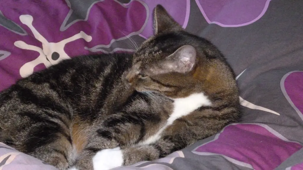Condolence image of Gabriele