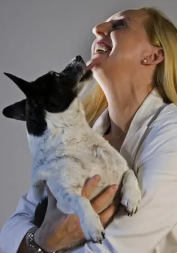 Image from Meinen geliebten Seelenhund SUNNY