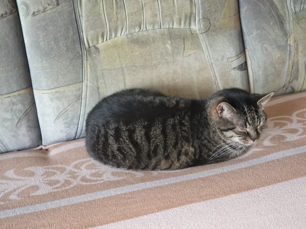 Andachtsbild von Birgit Kampmeier