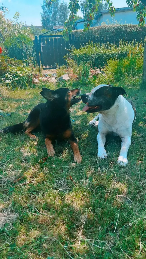 Andachtsbild von Mama ❤️