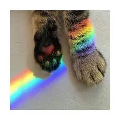 Andachtsbild von Sabine 