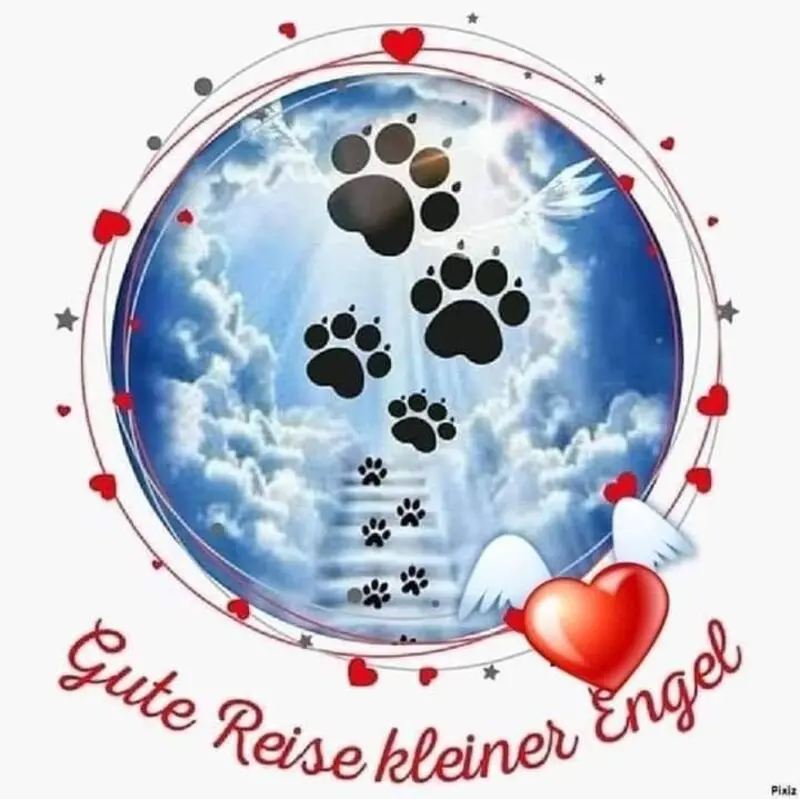 Andachtsbild von für Cindy