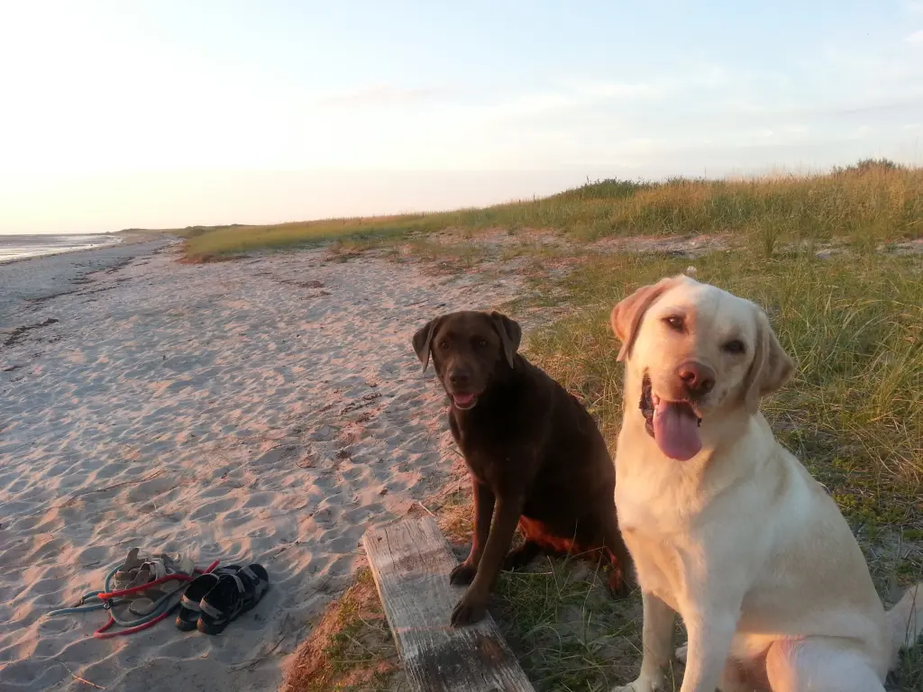 Condolence image of Elisabeth 