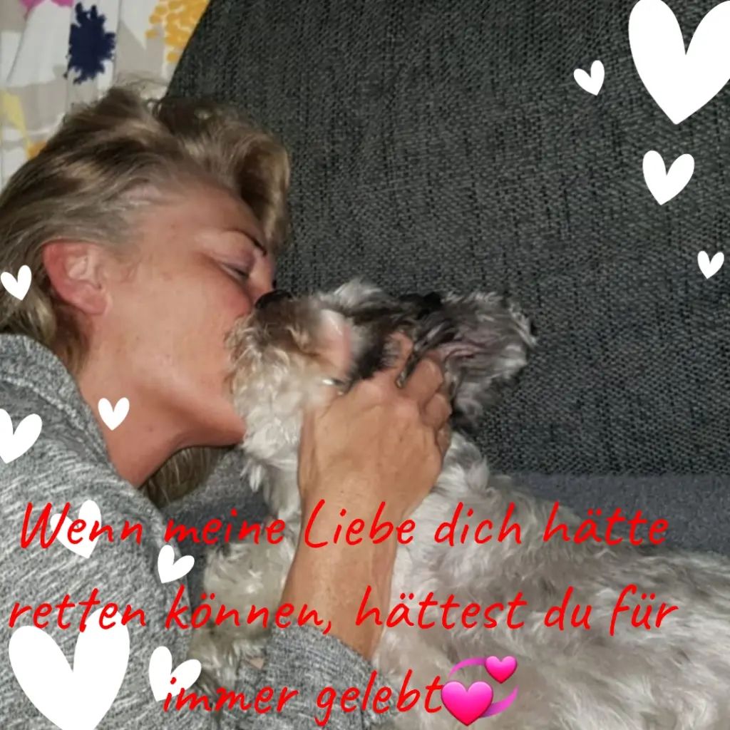 Andachtsbild von Tatjana mit Balu im ❤️ 