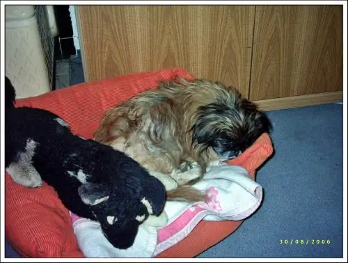 Image from meine kleine, süße Sina