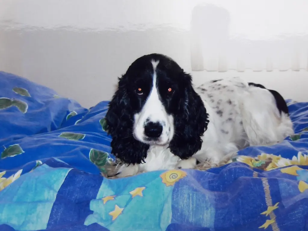 Condolence image of Melanie 