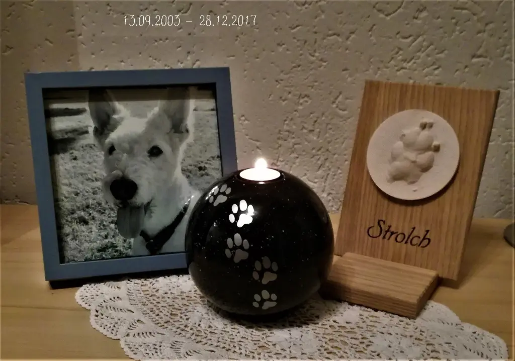 Image from Strolch