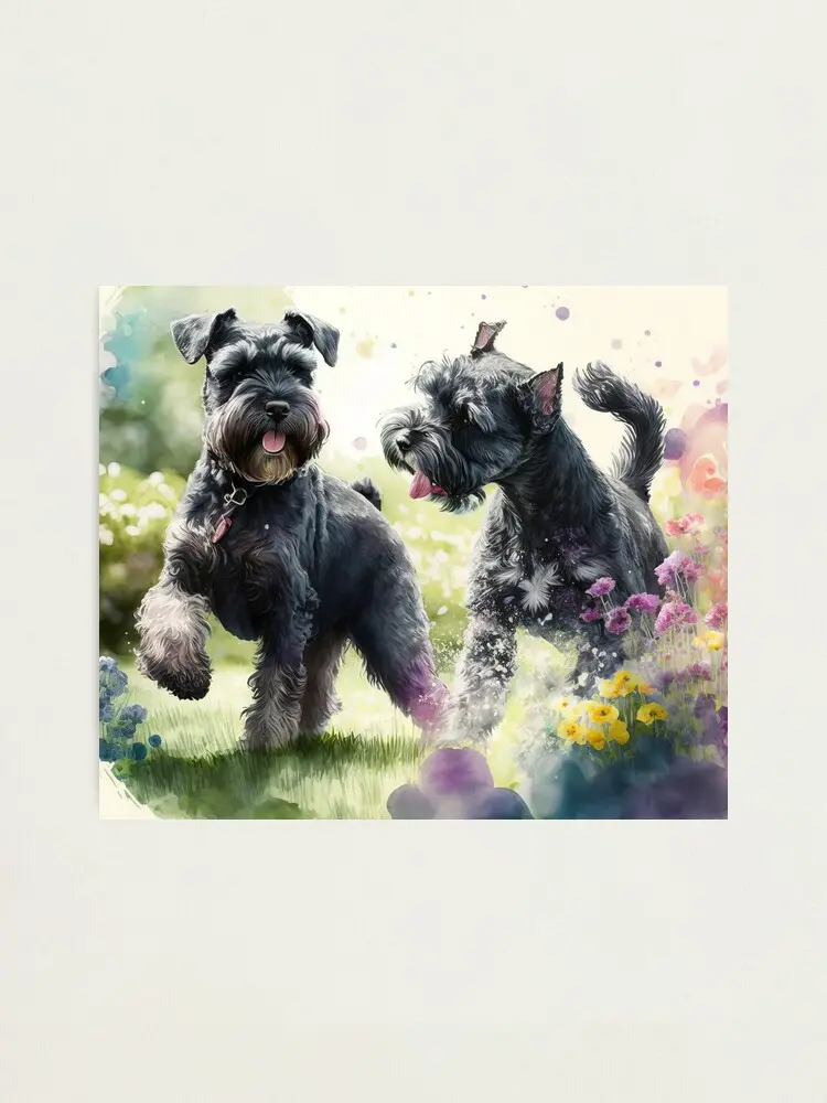 Condolence image of Eliot und Linus ♥ 