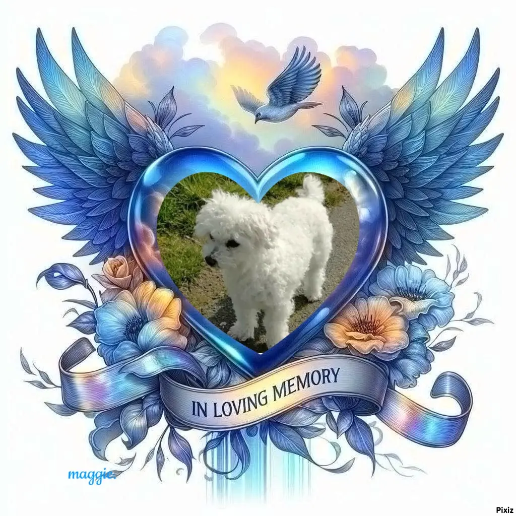 Condolence image of Tanja mit Timmy im Herzen 