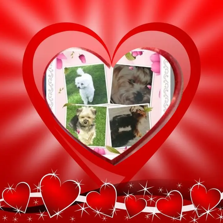 Condolence image of Gute❤️❤️❤️Nacht❤️❤️❤️❤️❤️