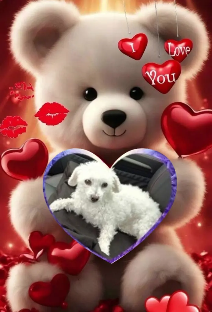 Condolence image of Gute❤️❤️❤️Nacht❤️❤️❤️❤️❤️