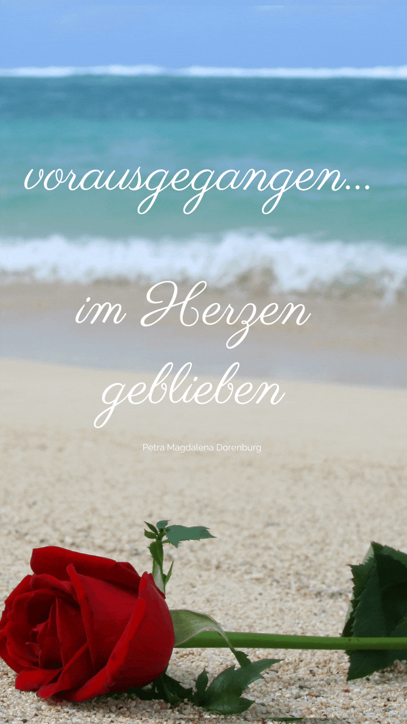 Condolence image of Irene mit Seelenhund JIMMY ganz tief im Herzen ❤️ 