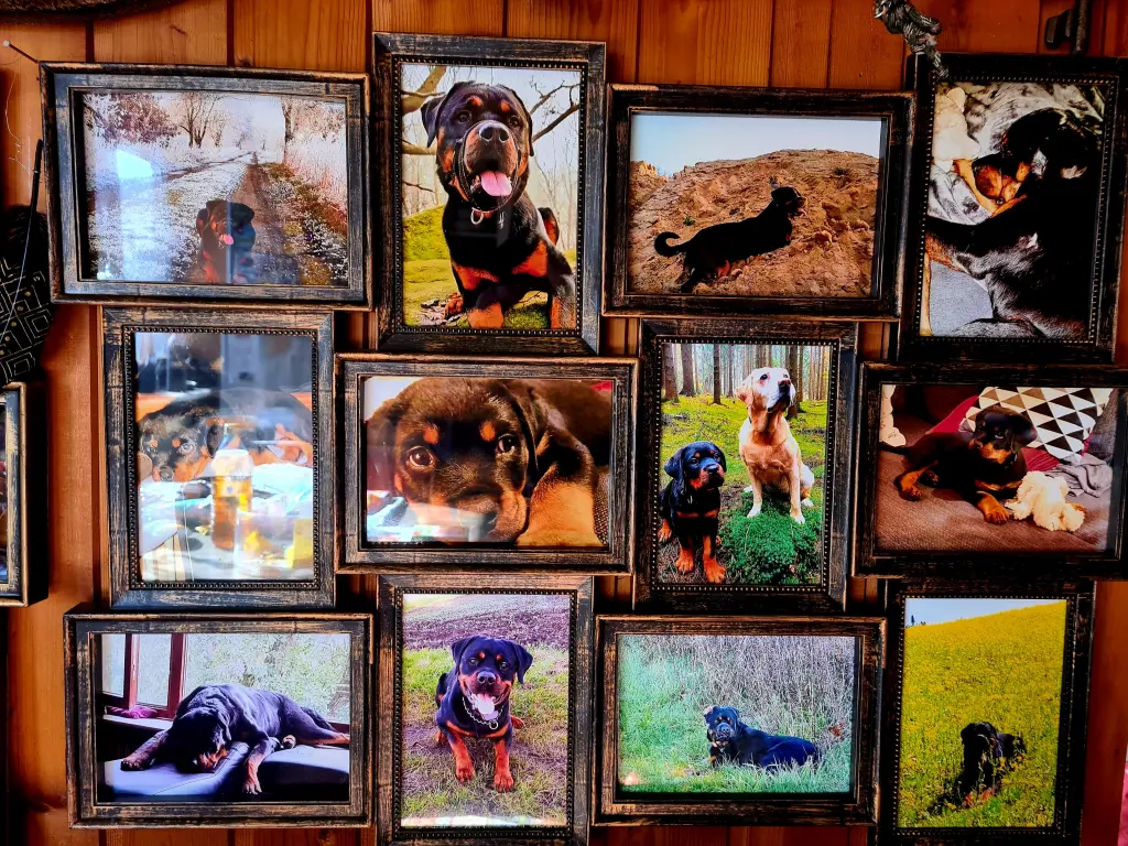 Condolence image of Nicole mit Big-Boy im ❤️ 