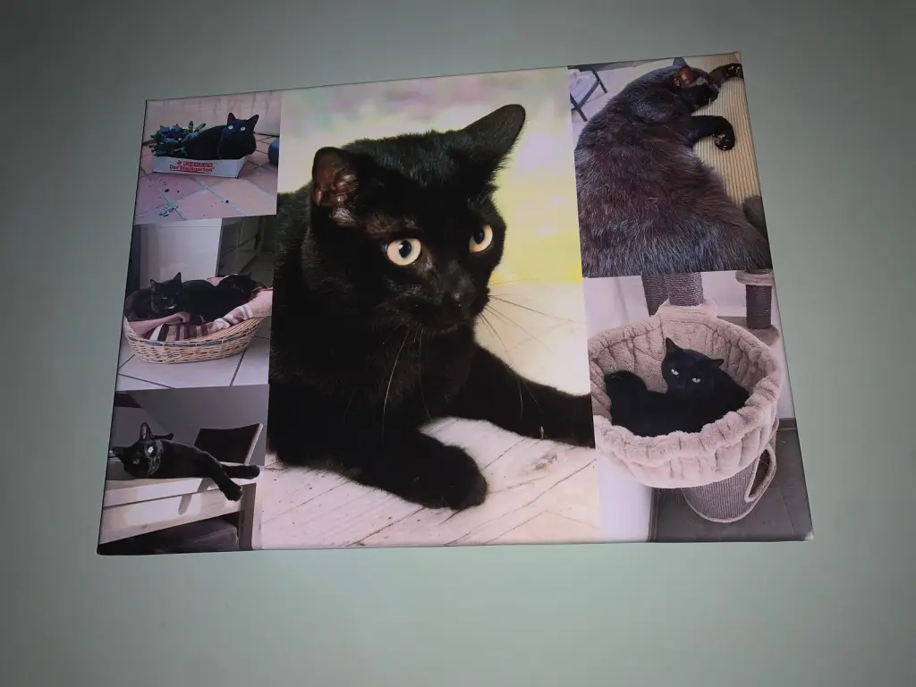 Condolence image of Gabriele