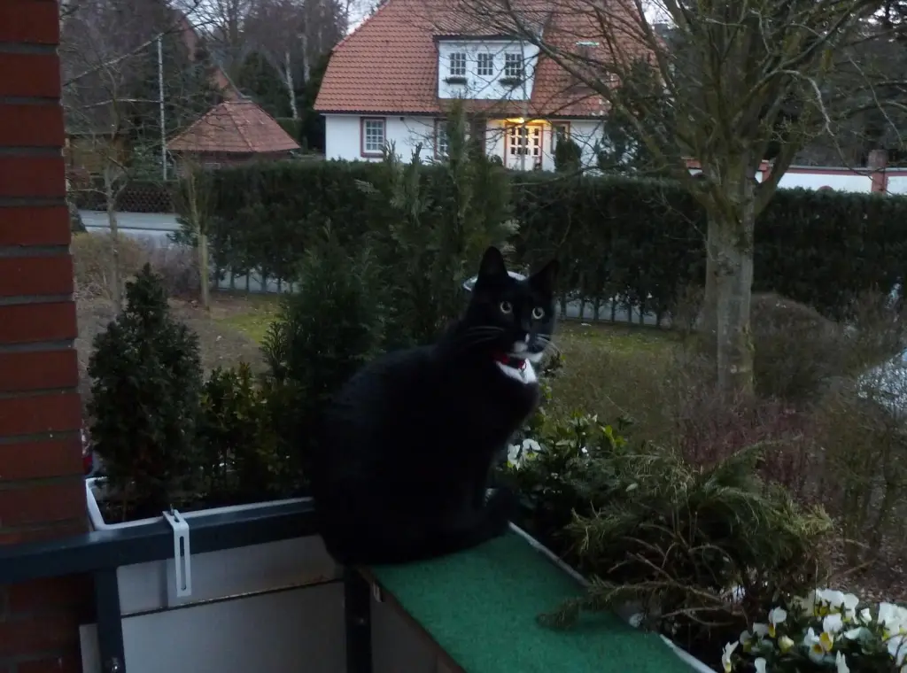 Condolence image of Heide mit Cita im Herzen❤️