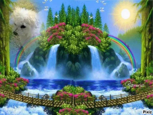 Condolence image of Gabi mit Max ❣️