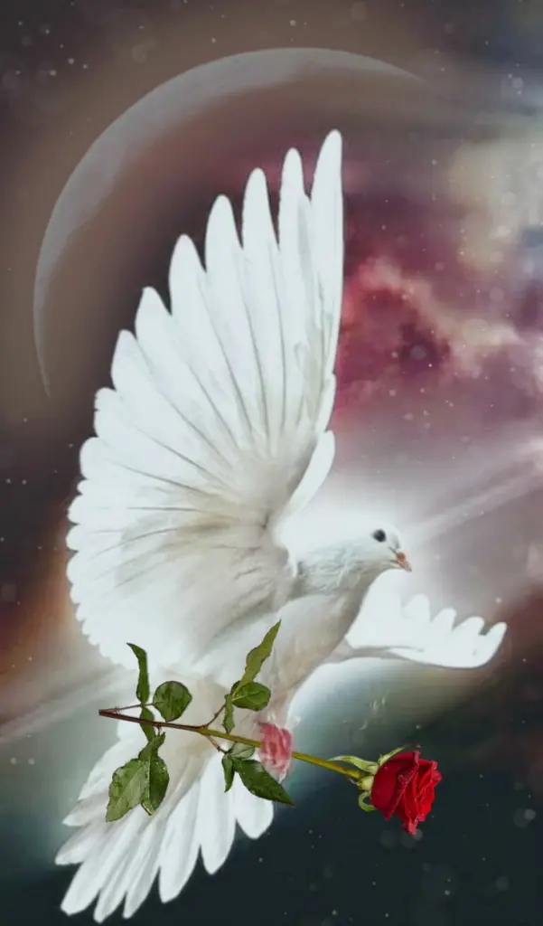 Condolence image of Christiane mit Nicky