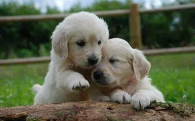 Condolence image of Peter