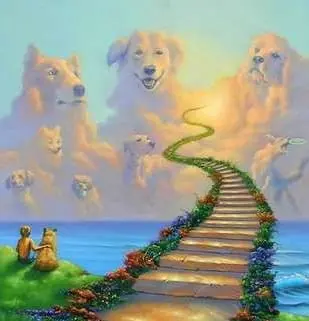 Condolence image of Sternenpost