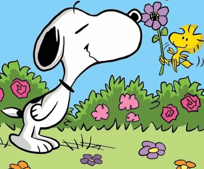 Condolence image of Cuddles ❤️