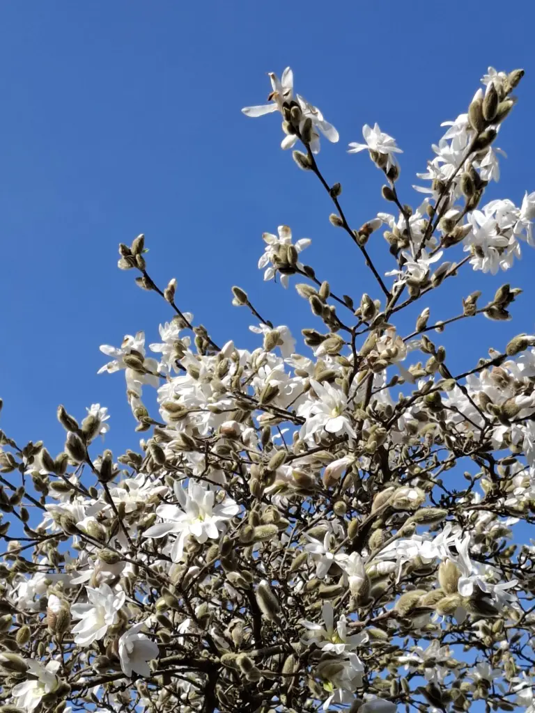 Condolence image of Heike und Tucker