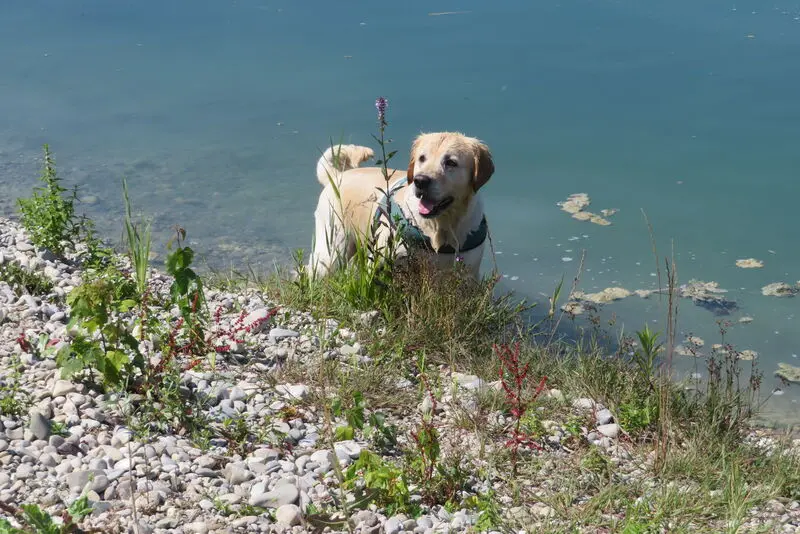 Condolence image of Peter & Christa